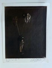 AMERICAN ARTIST ROBERT J. STEINBERG SIGNED AND DATED PHOTOGRAPH – STILL LIFE