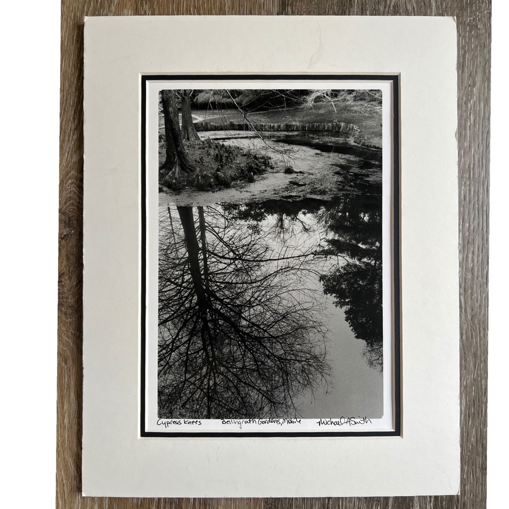 Michael A Smith Photograph Art 11×14 B&W Signed Cypress Knees Bellingrath garden