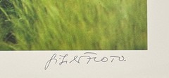 Gisela photo, barley penis, photograph, 1992, autographed and numbered