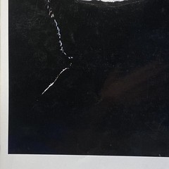 Photograph 11 X 14 Original c1980 Black & White Glossy Student Art