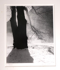 8×10 CHRIS HONEYSETT «YOSEMITE» PHOTOGRAPH SIGNED 1990 (needs re-matting)
