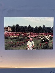 Lot Of 40 1980’s Family WorldWide Vacation Israel Amateur 35mm Color Slides