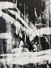 🔥 Vintage Modern Bodybuilding MUSCLE Man Photograph Painting, Lillian BASSMAN