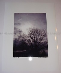 «Bluster Blvd» Original Art Photography SIGNED 2018 Surreal Bare Tree Clouds