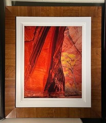 Michael Fatali authentic Cibachrome Print “Canyon Voices”