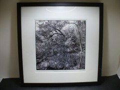 MATTED PHOTOGRAPHY Ichetucknee Springs Black & White Framed 17×17 by Dom Martino