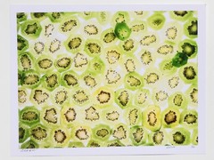 Fine Art Photography Print – Kiwis – Artistic Food Photography