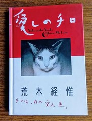 Nobuyoshi Araki Chiro My Love Photo 1992 Cat Photograph