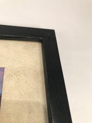 Southwest Fine Art Photo Print 9x 11 framed signed Indian Head Penny US 1905