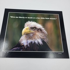 PHOTOGRAPHY Art MEME Prints Lot 3 Humorous Birds Animals Nature Photo – HW034