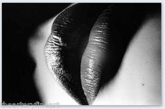 DAIDO MORIYAMA: Kuchibiru SIGNED Ltd Ed. Book w/ Orig. Photo One Picture #39 NEW