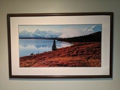 Thomas Mangelsen «Shores of Wonder Lake 27″ X 50» framed print signed & numbered