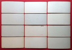 12 Vintage Stereo Photo Circa 1905 Pictures from German Forests Forest Types (F14810