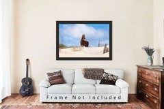 OBX Photography Print – Picture of Wild Horse Outer Banks Corolla North Carolina