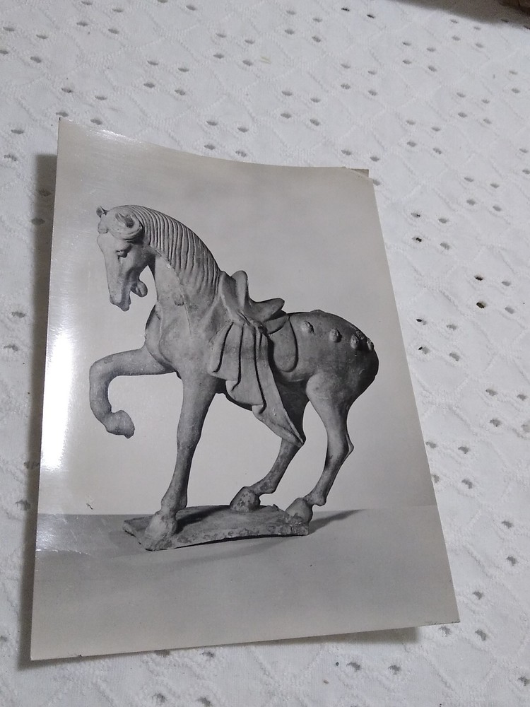 VTG RPPC Earthen Figure Of A Horse: Chinese, T’ang Dynasty MUSEUM POST CARD