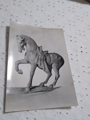 VTG RPPC Earthen Figure Of A Horse: Chinese, T’ang Dynasty MUSEUM POST CARD