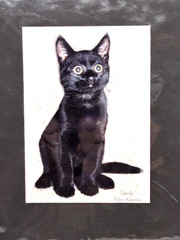 Spooky Photographic Art Print Matted Artist Signed 4.5″ x 6.5″