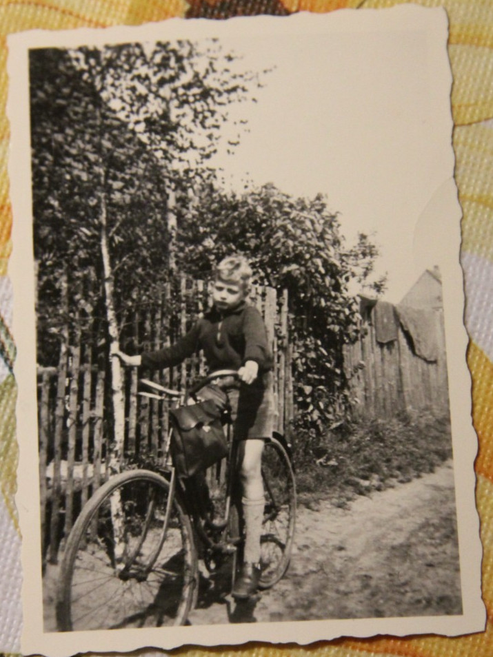Photo Young Boy Bicycle Birch Ride Bike 1936 6x9cm Vintage AL