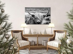 SEVEN WALL ARTS Highland Cow Photography Wildlife Portrait Picture Black and …