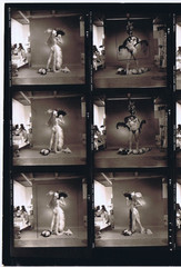 NEWLY FOUND! Hendrickson PHOTO Contact Sheet Proof & Negatives NAUGHTY & NICE