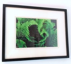 ORIGINAL ART PHOTOGRAPHY, ONE-OFF: ‘HERON ROCKS FERNS’, JOSH GRUNEWOLD 2005
