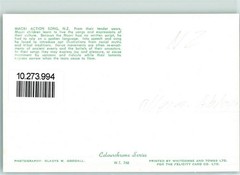 10273994 – Maori Action Song New Zealand