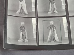 NEWLY FOUND! Hendrickson PHOTO Contact Sheet Proof JULIET PROWSE POSING FUR HAT