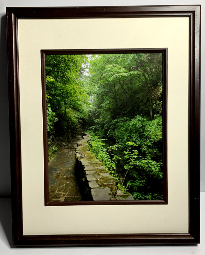 Glossy Photograph: Brook and Stone Wall. 15 in. x 12 in. Diane L. Deanna
