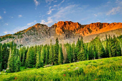 Digital Image Picture Photo Wallpaper Background Desktop AI Art Sample Product
