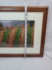 Signed Framed Photograph Vinyard In Chianti 1999 14″x17.5″ As Pictured