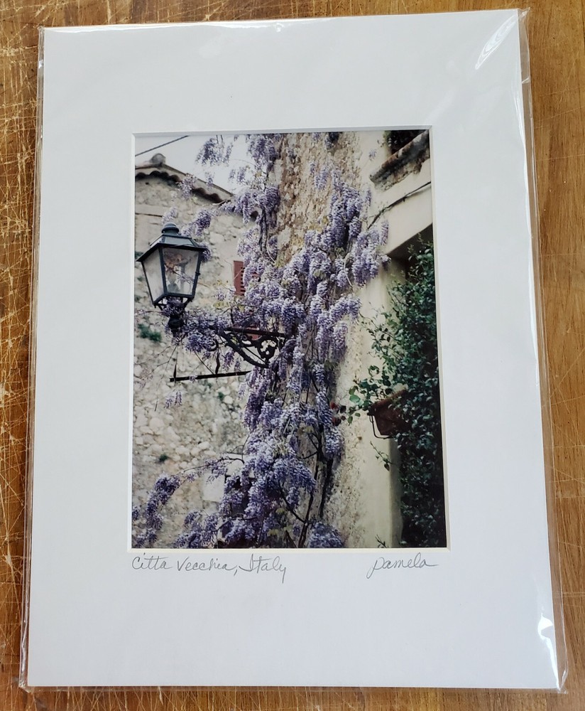 Original Matted Photograph Wisteria in Civitavecchia, Italy 9″x12″ by Pamela J