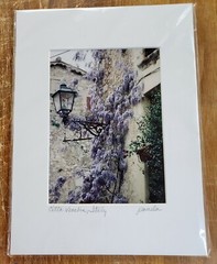 Original Matted Photograph Wisteria in Civitavecchia, Italy 9″x12″ by Pamela J