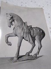 VTG RPPC Earthen Figure Of A Horse: Chinese, T’ang Dynasty MUSEUM POST CARD