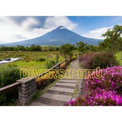 Digital Image nature Photo Wallpaper Background AI ART