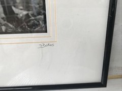 Maggie S Bokos Signed Black Lab Framed Dog Photography 12 3/4″ x 15 1/2″