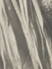 VINTAGE VERY RARE EDWARD CUSTIS Native American Indian Navaho Sepia PHOTOGRAPH