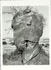 Douglas Prince (b. 1943) Art Announcement Card 1994 – Witkin Gallery NYC