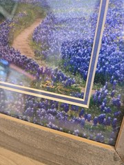 DAN RICHARDS Texas Hill County Blue Bonnet Flower Framed Matted Photograph Cedar