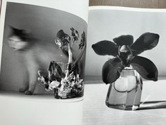 🎈SIGNED w Drawing! Nobuyoshi Araki – HANA-JINSEI, 2002 Japan Limited Ed, Unique