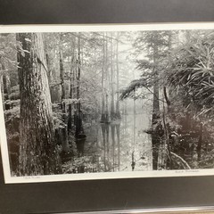 Blair Pittman: «Old River» – Original Gelatin Silver Print Photograph