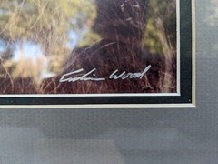 (New-Sealed & Matted) ’84 Erskine Wood Hand Signed «Preaching to the Flock»