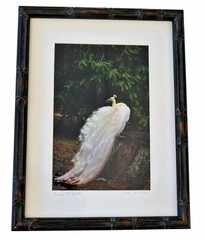 BLANCO, THE VISITOR Signed Framed Hawaiian Photographer Lilian De Mello 14×18