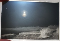 Lot Of 11 Photographic Plates Early 20th Century From Thonon-Les-Bains
