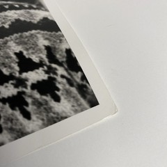 Jerry Garcia Photo 1967 11 x 14” Grant Jacobs Black White Stamped Monterey Pop