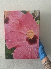 photograph on canvas