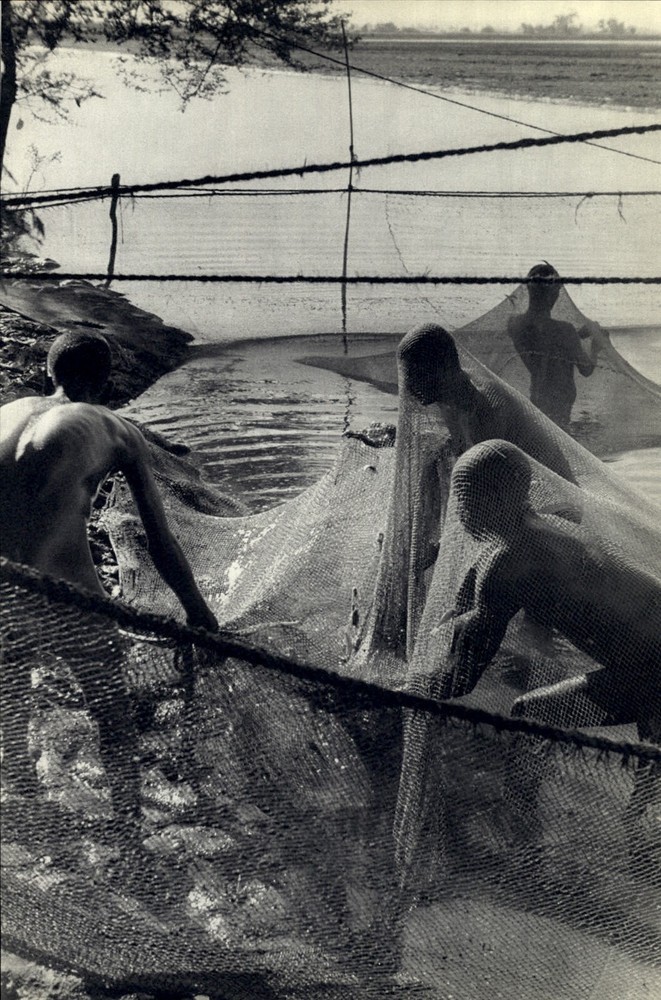 1952 Henri Cartier Bresson Egypt Peasants Luxor Fish Nets Nile River Art Photo