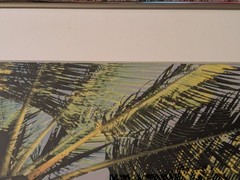 Vintage 1994 Robin L White Signed Palm Tree Tropical 23½»x10⅞»Framed Photo