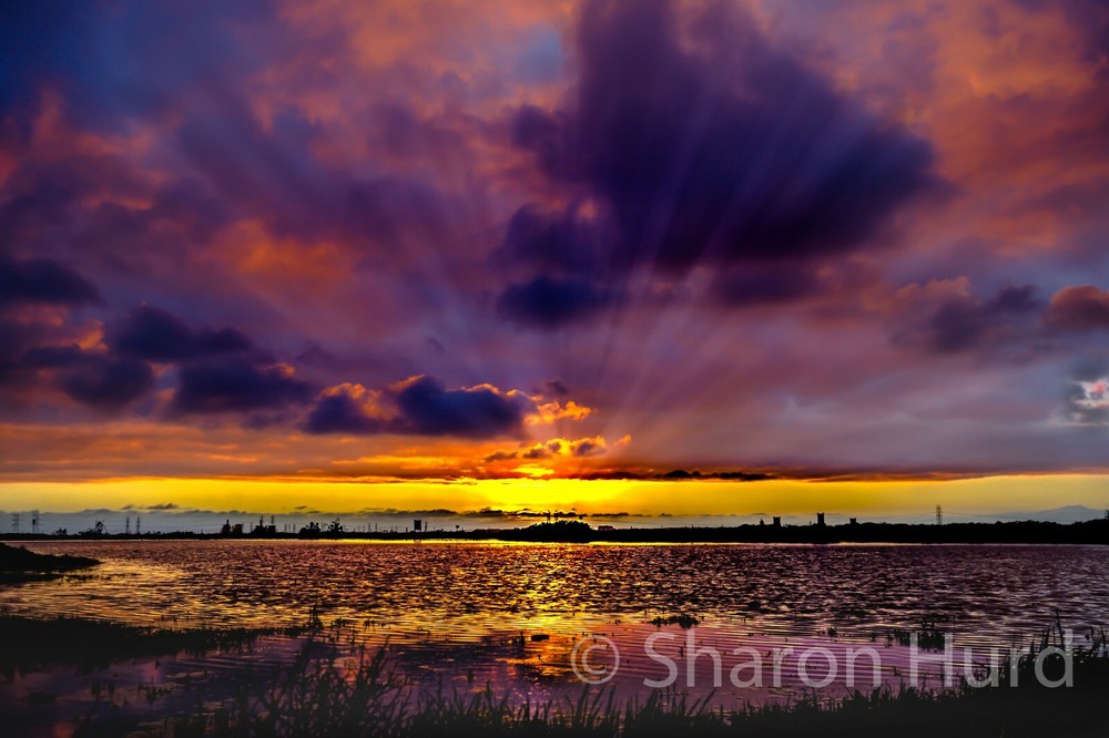 Sunset over Vernal Pool Photography print wall deco