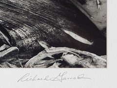 Richard Garrod, black and white photography, Palm Frond, Hawaii, 1984