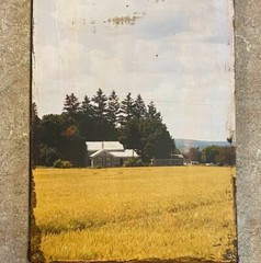 Original Art Photography on Canvas Country Life Country Side Landscapes set of 3